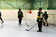 inline-hockey-playing