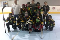 inline-roller-skate-team